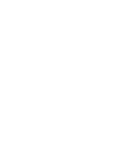 Traveler's Choice Award
