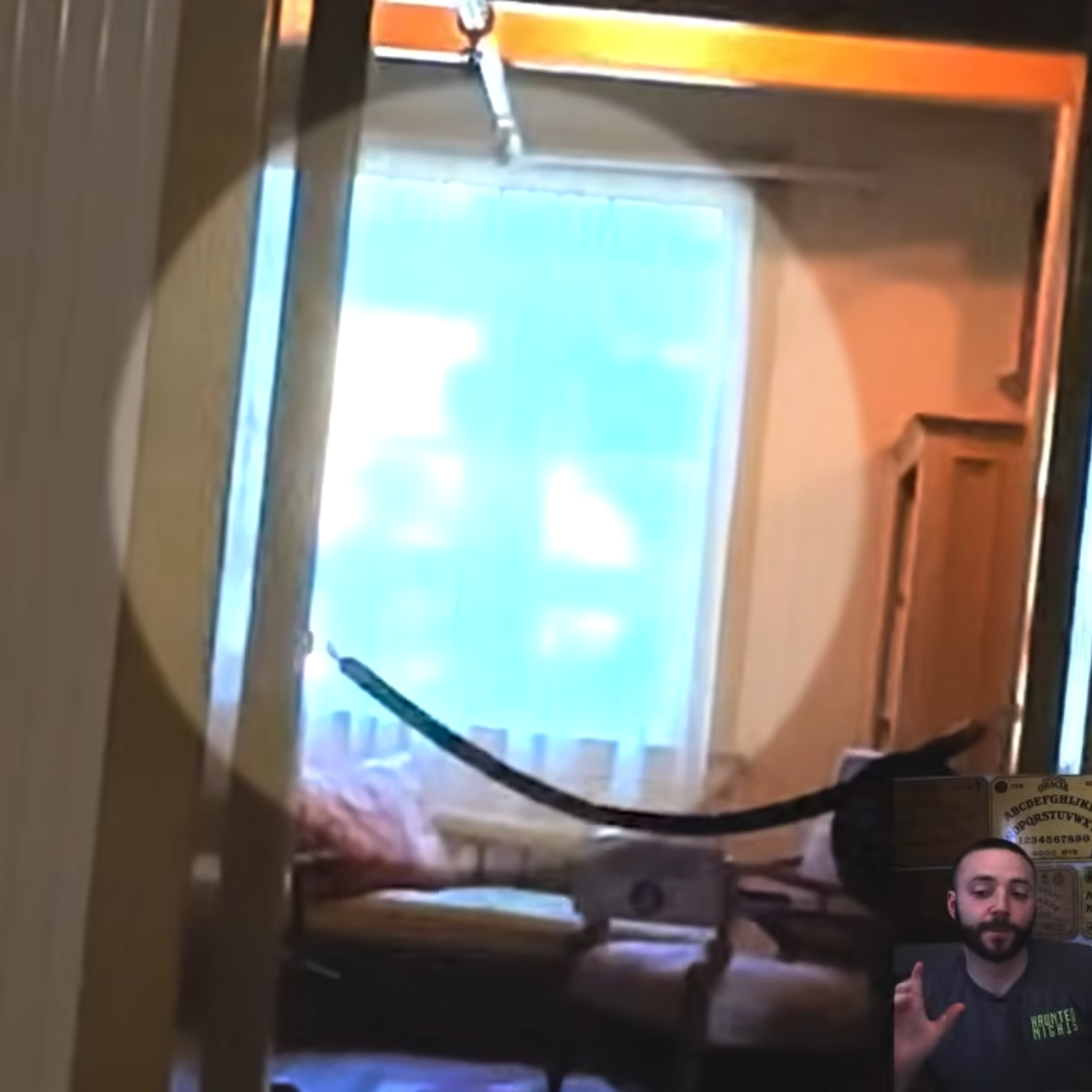 This photo was shared by Dylan S., a YouTuber from New York, who believes they captured a shadow figure while filming from the Hall of Fire toward the conservatory and hallway leading to Sarah’s bedroom in 2023.