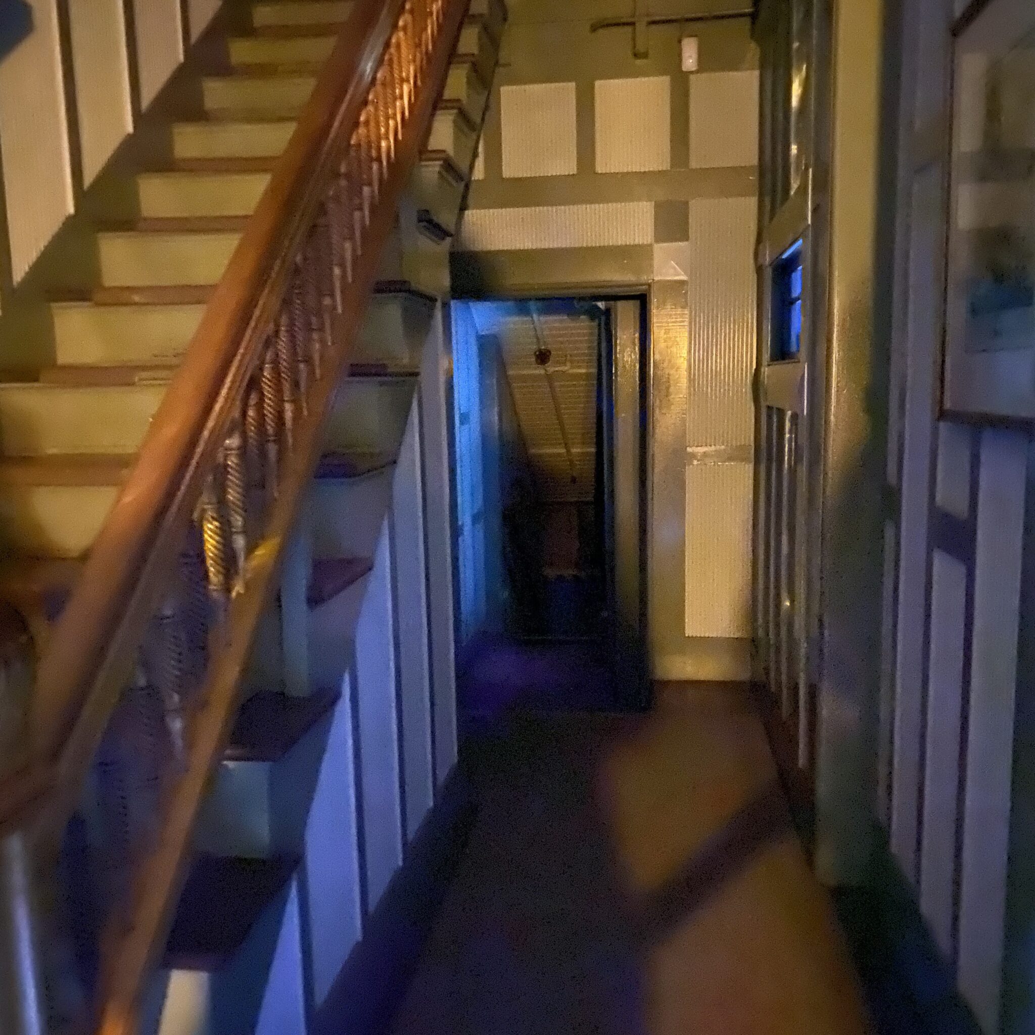 This photo was shared by Gabi O. from California, taken during a flashlight tour. She noticed a tall shadow figure down a set of stairs in an area that was not accessible to guests.
