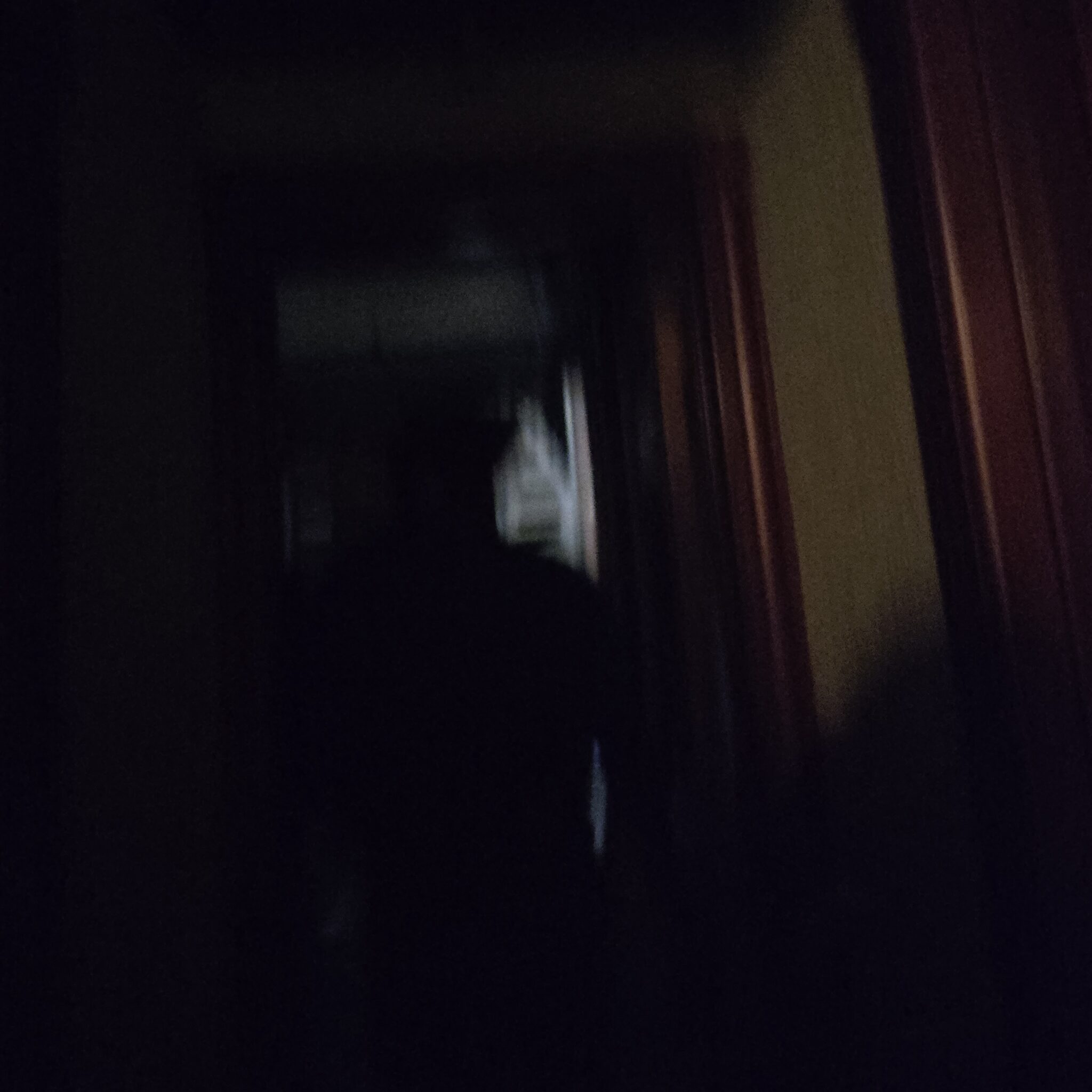 This photo was shared by Cristina S. from California, taken during the last tour of the day on November 2, 2025. She mentioned it was taken down a short, dark hallway with no one in front of her and no glass to cause a reflection. To her, it looks like the shadow of a man wearing a hat.