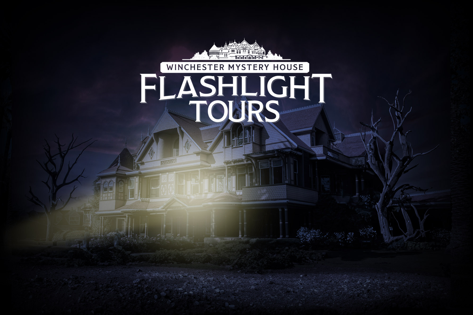 Untitled design (62)